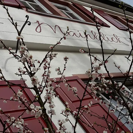 Mainblick Garni Marktheidenfeld