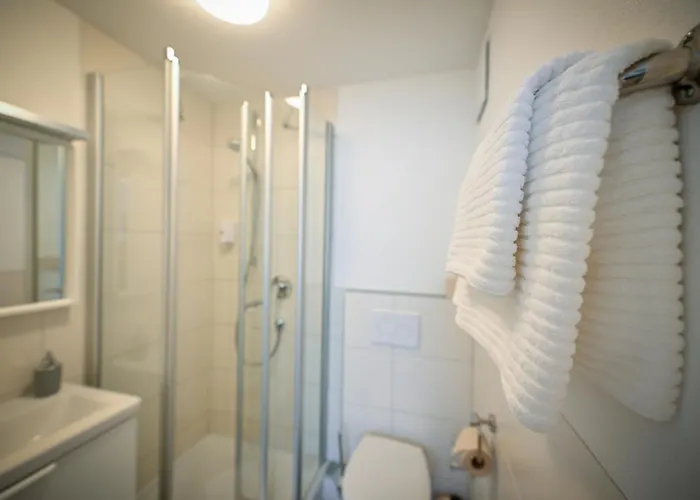 Mini-hôtel Mainblick Garni 3*