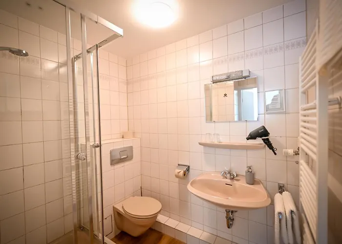 Mini-hôtel Mainblick Garni 3*