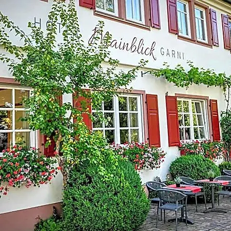 Mainblick Garni Gasthof Marktheidenfeld