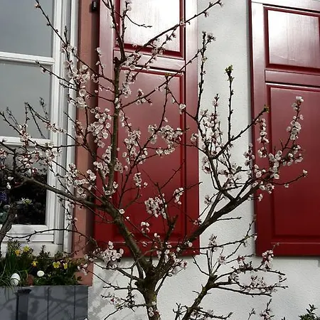 Mainblick Garni Marktheidenfeld