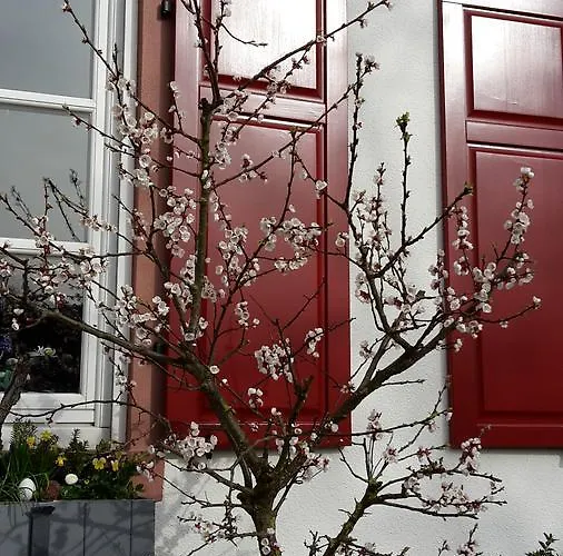 Mainblick Garni 마르크차이덴펠트